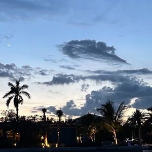 Meet your Posher, Jodi